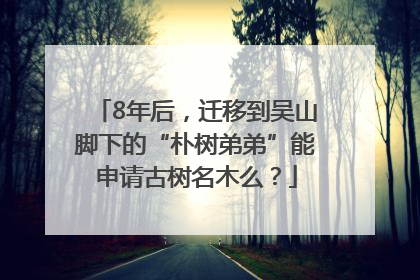 8年后，迁移到吴山脚下的“朴树弟弟”能申请古树名木么？